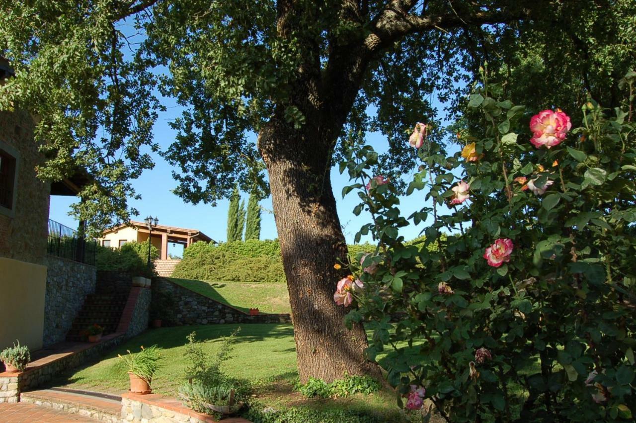 Agriturismo Il Palazzo Pergine Valdarno Exteriér fotografie